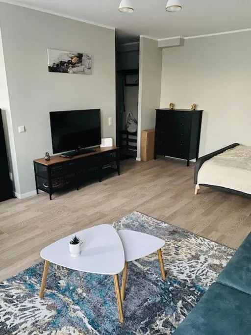 Image 5 of 1-bedroom loft in Siena Tirgus