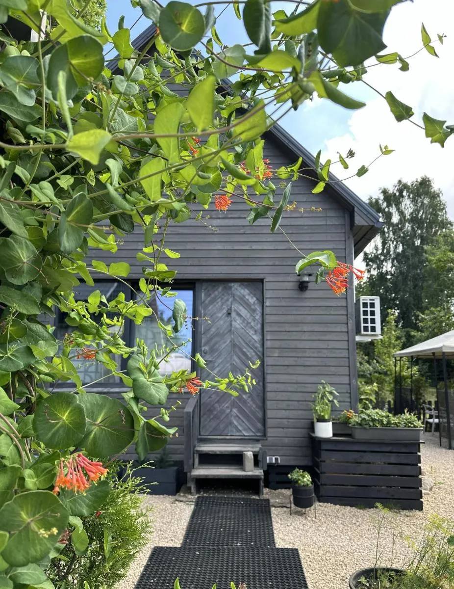 Image 3 of Amazing little house on an island with garden