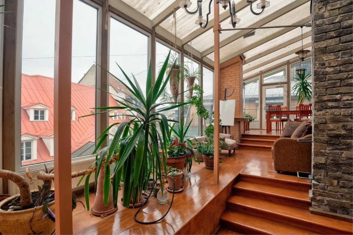 Image of Dandelion Apartment Vecpilsētas