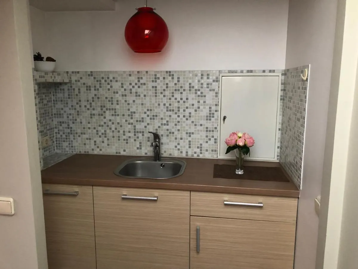 Image 2 of Family or Group Apartment in Green Center