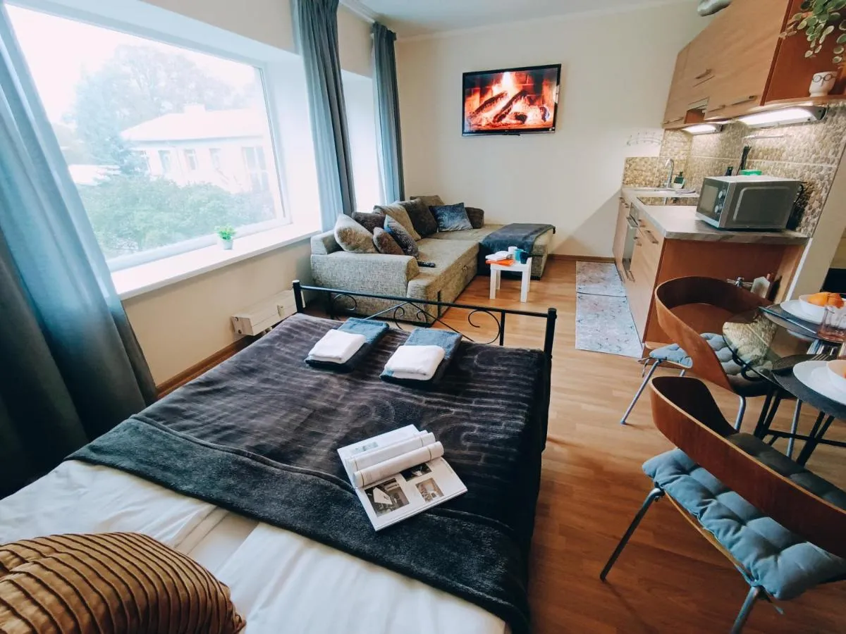 Image 1 of Homey Nest in Riga Midtown center, up to 4 guests