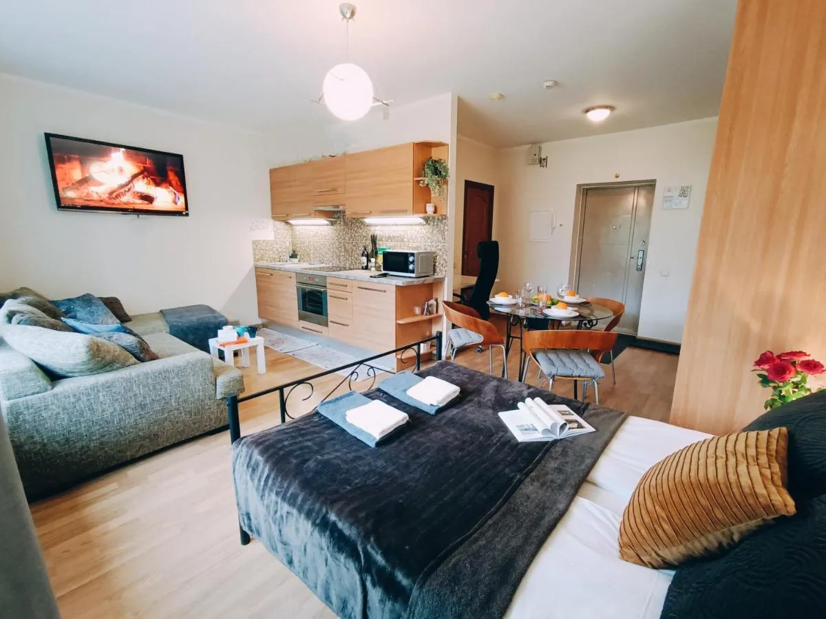 Image 6 of Homey Nest in Riga Midtown center, up to 4 guests
