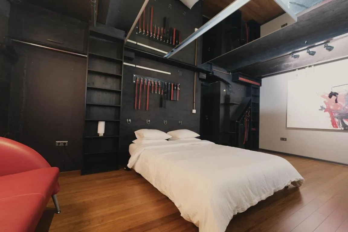 Image of Kinky Apartment in Riga