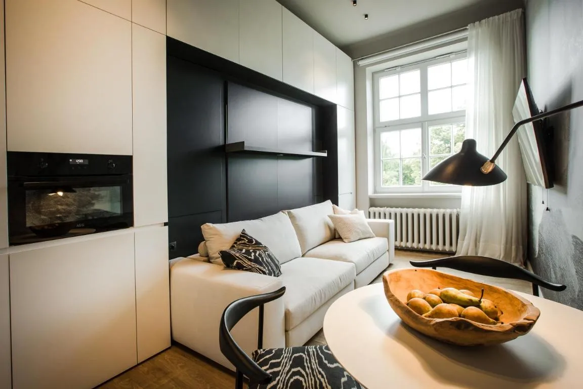 Image of Luxury studio with a park view