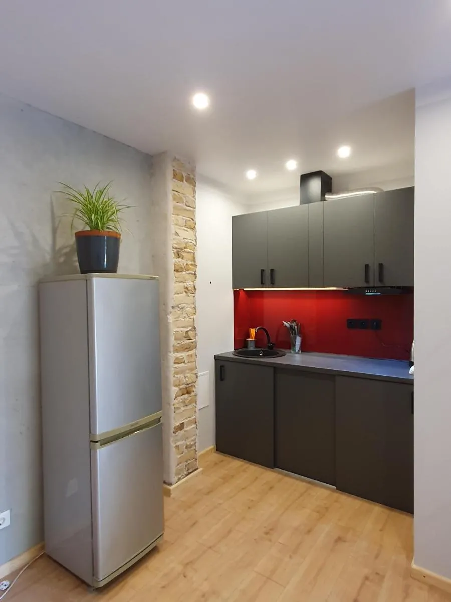 Image 4 of New apartment in historic house