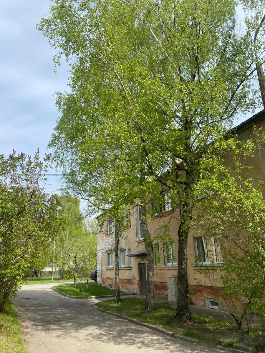 Image 5 of Quiet and peaceful apartment close to the city center