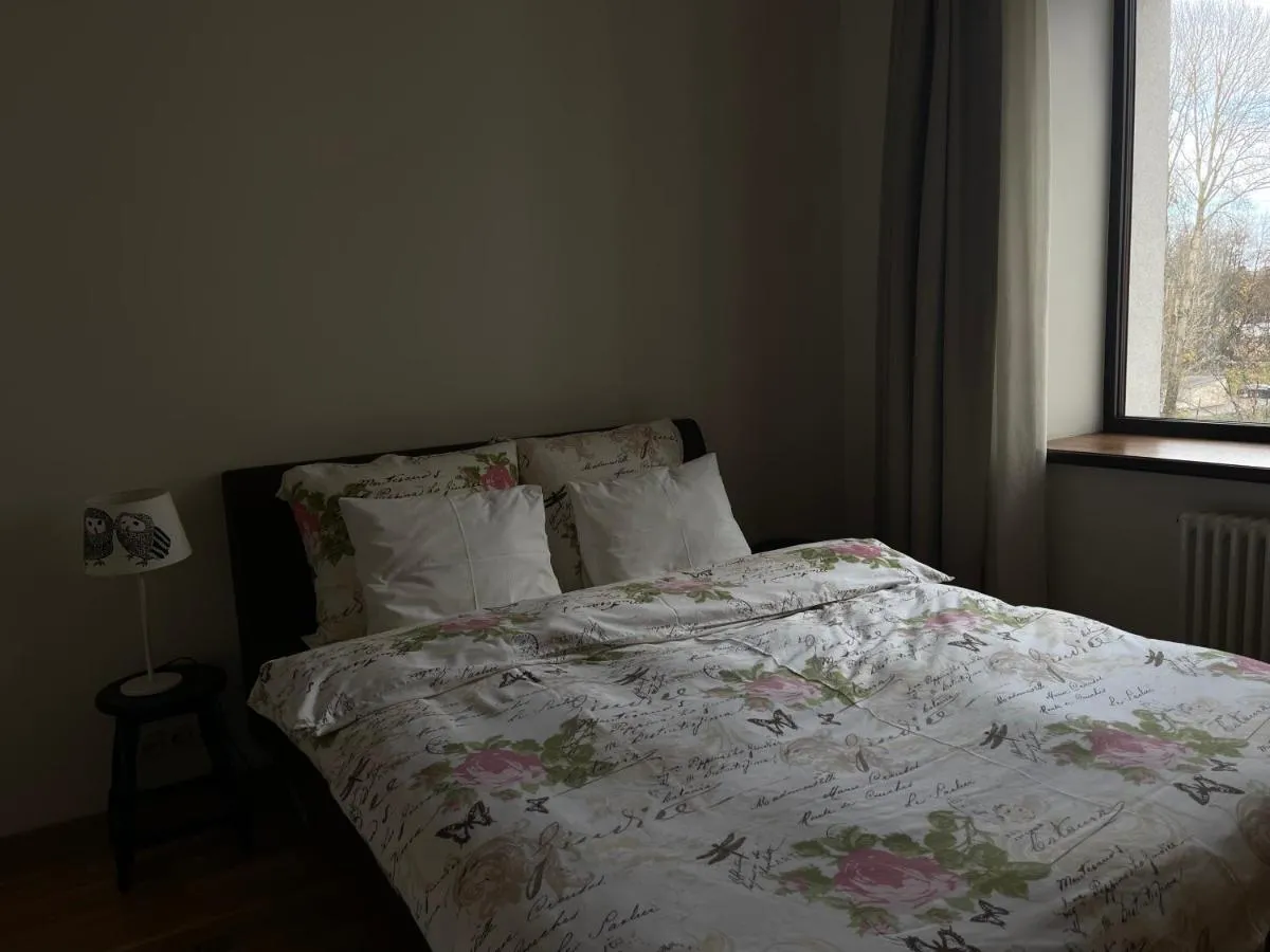 Image 1 of Riga RiverPark – One-Bedroom Apartment Near Downtown