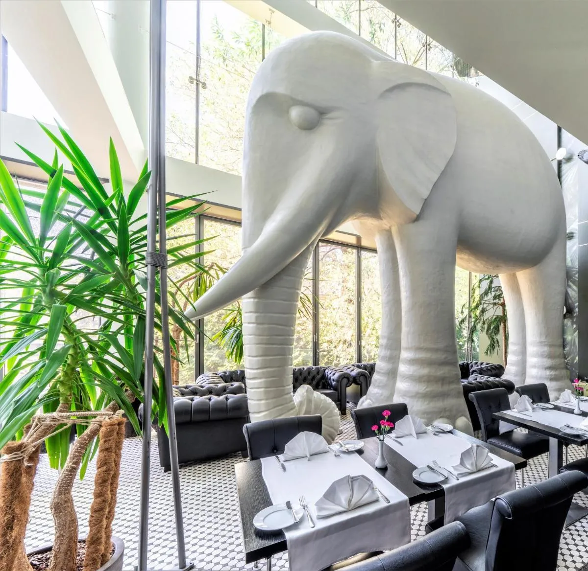 Photo 3 of Rixwell Elefant Hotel