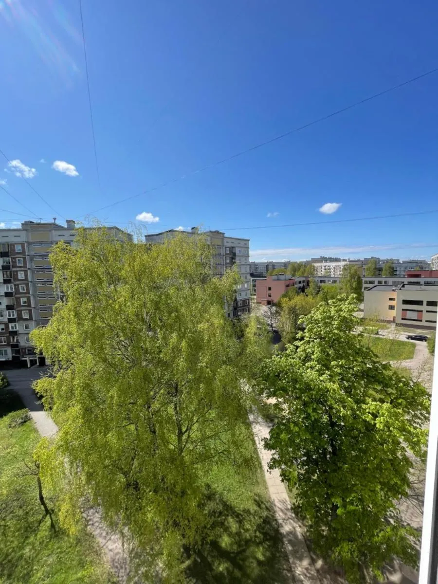 Image 4 of Ruses. One Bedroom Apartment