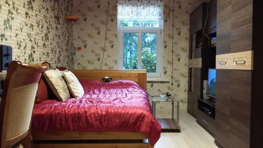Image 1 of Small and cozy studio apartment