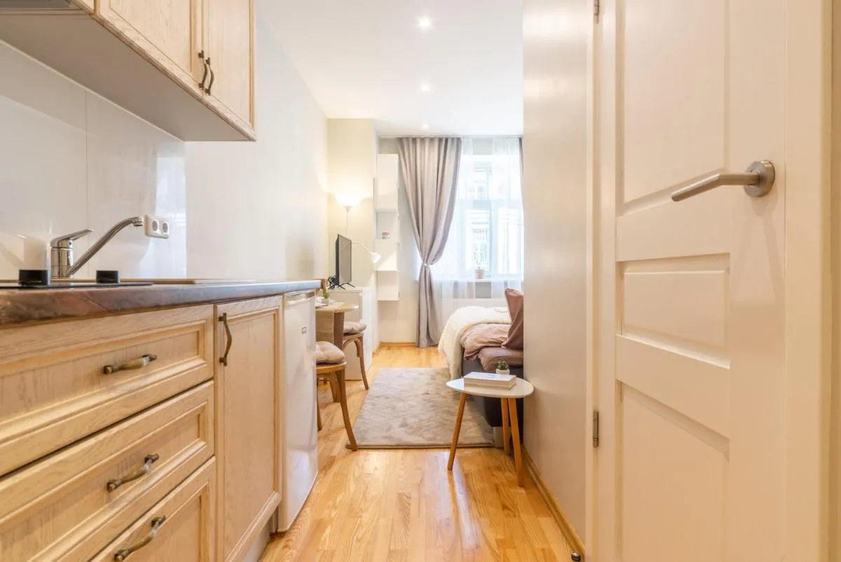 Photo 4 of Valdemara Design Studio Apartment in City Center
