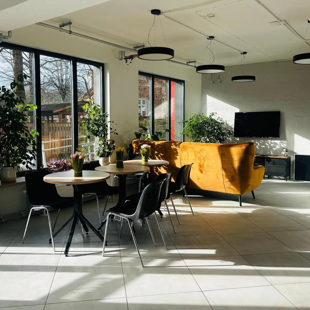 Photo 4 of YouthMents – Student Hotel