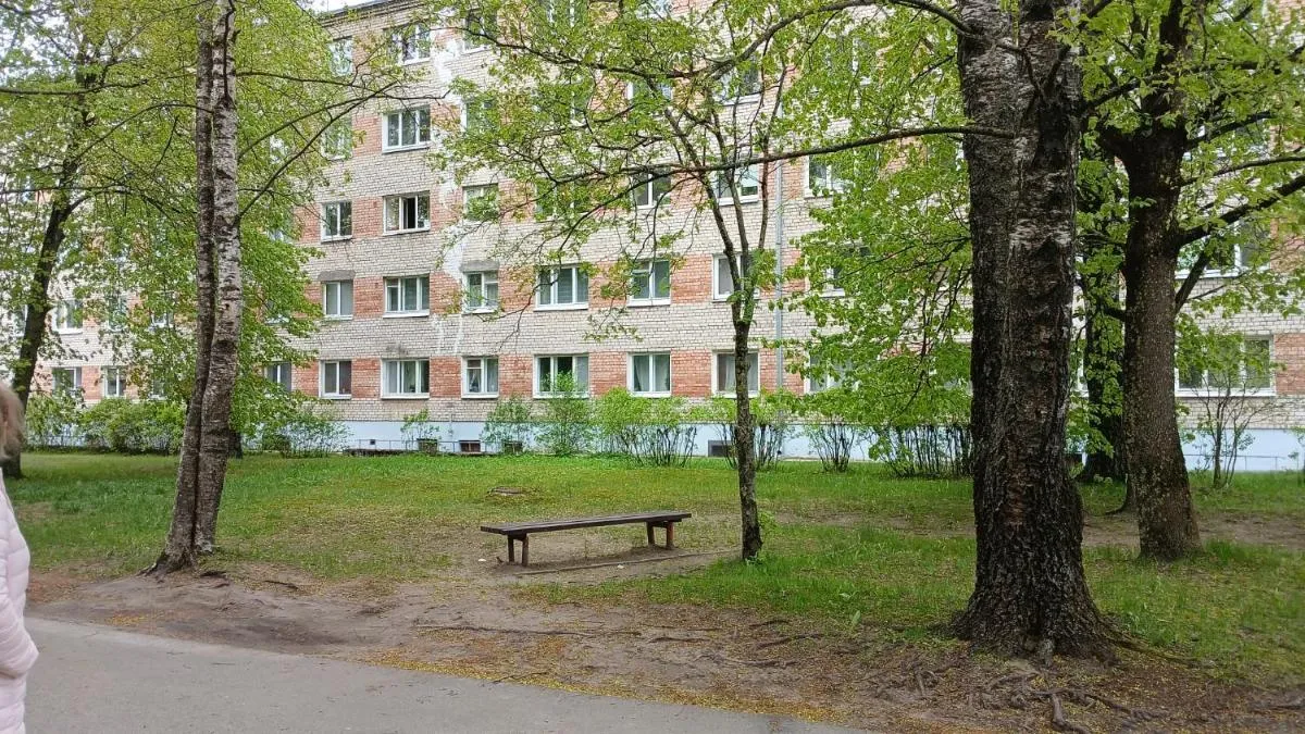 Photo 3 of Zalinieku 40b