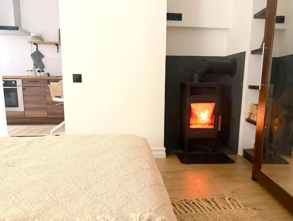 Image of Apartment with a fire-place