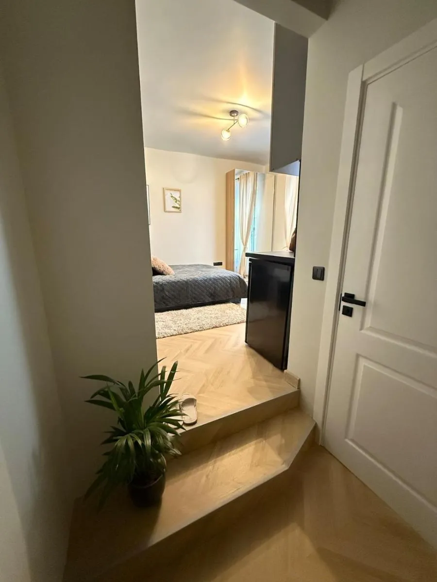 Image 6 of Bright and cozy next to park