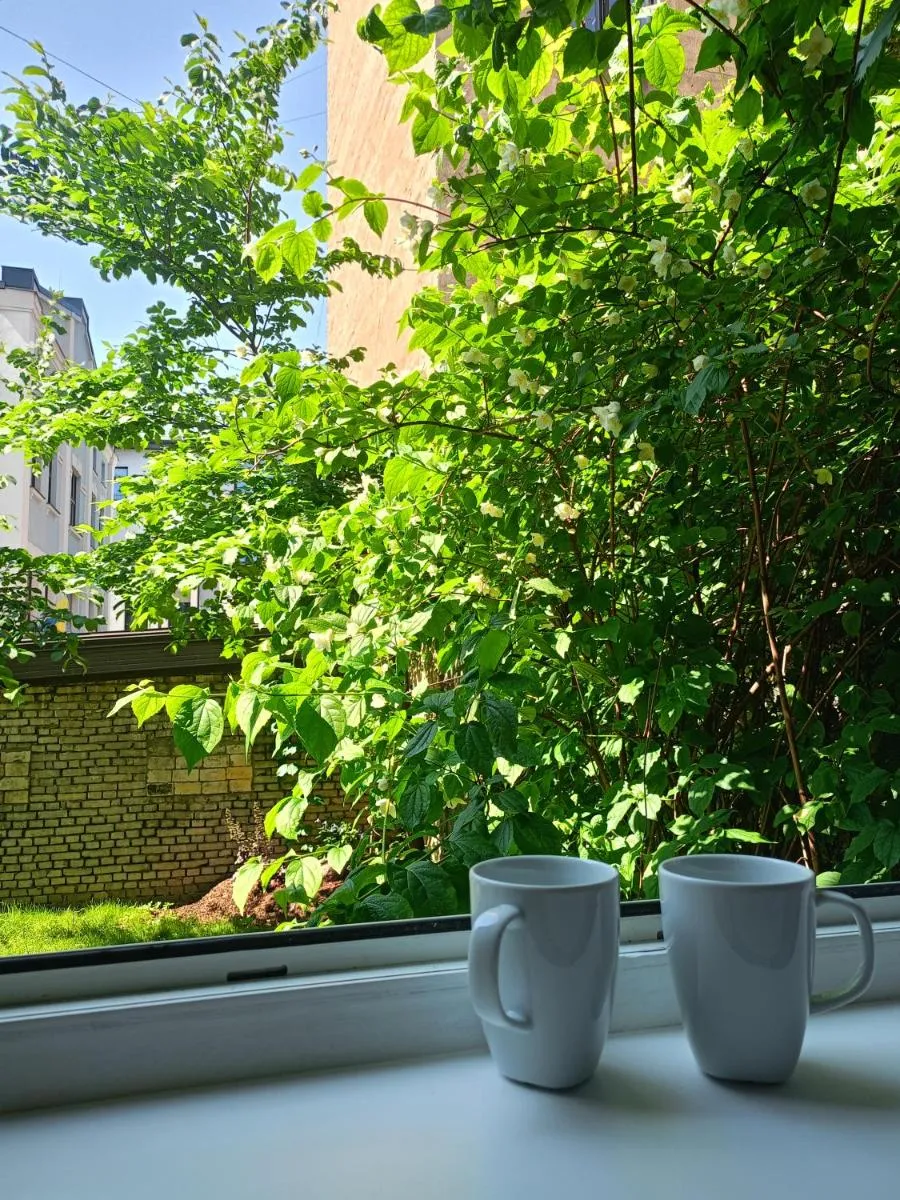 Image 5 of Cosy apartment in the heart of Riga