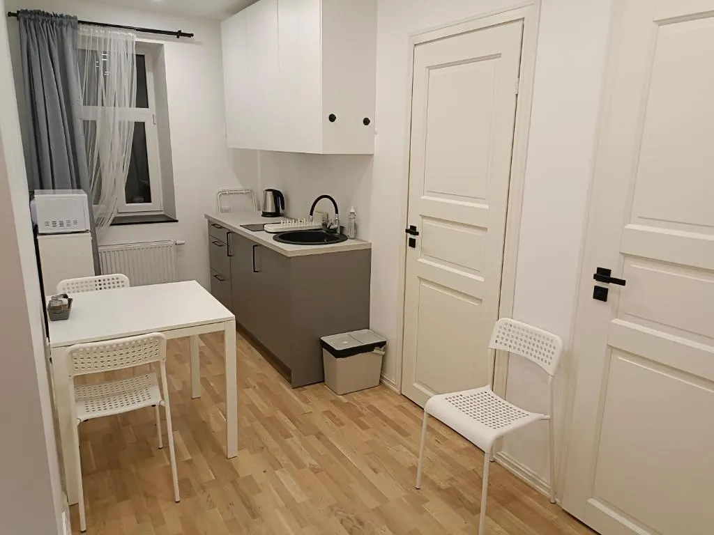 Image of New Gray apartment in the center of Riga
