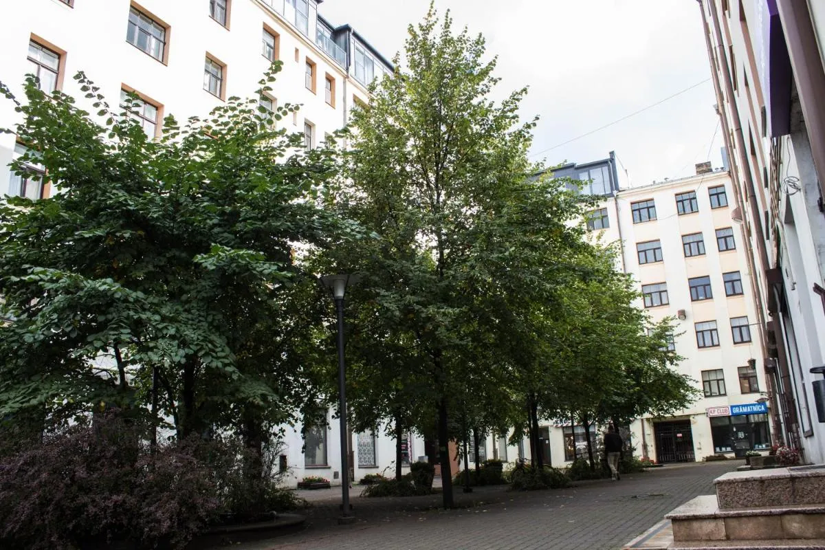 Image 5 of Oasis Apartment