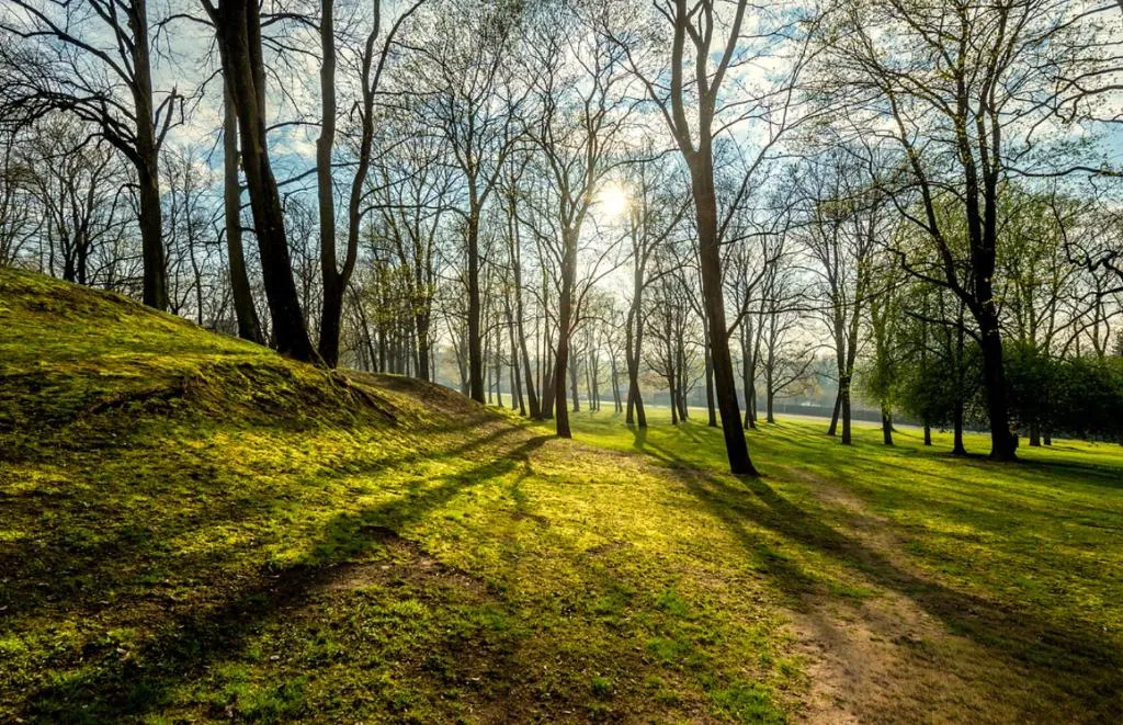 Image of Your Cozy Family-Friendly Flat in Vibrant Riga