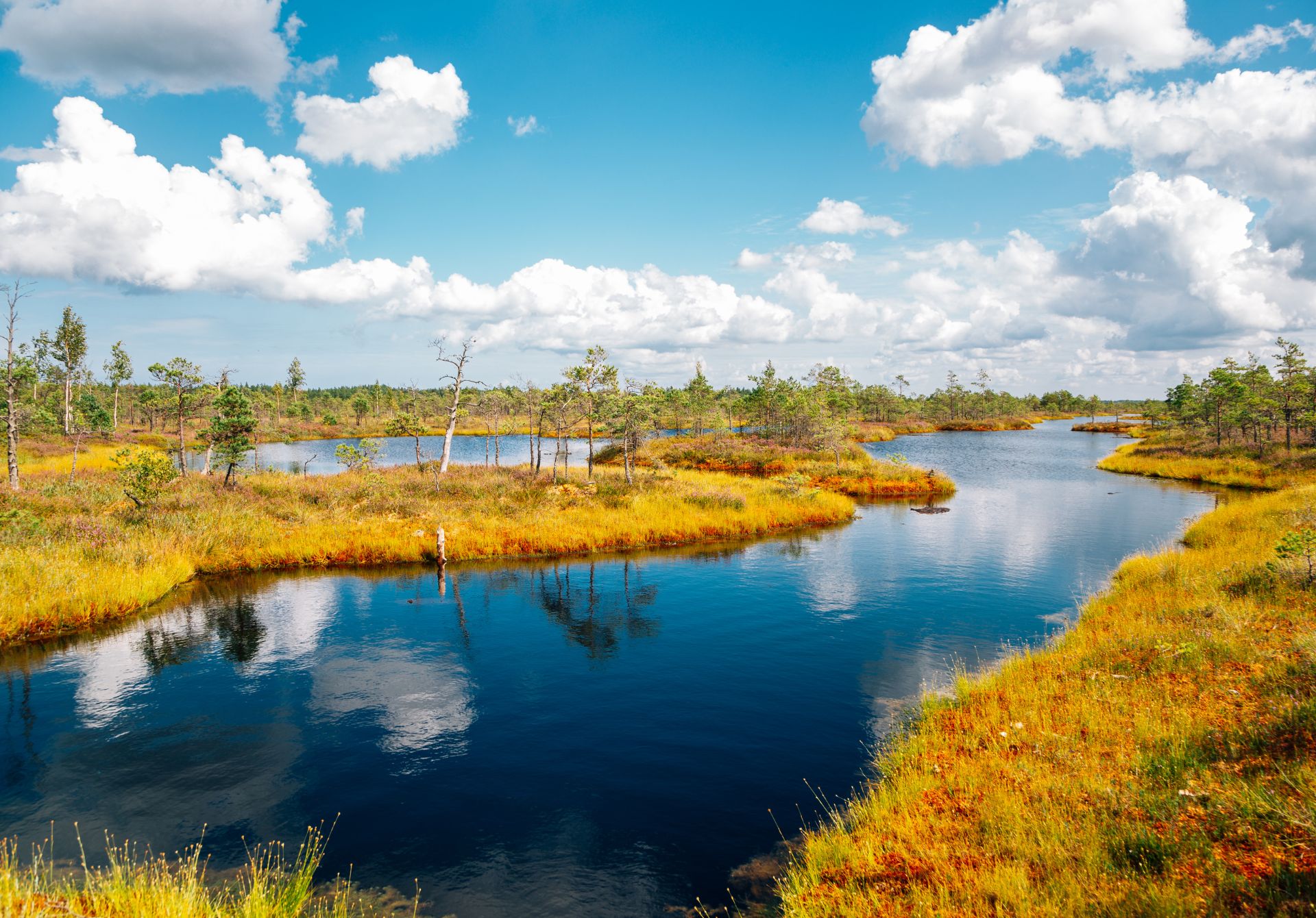 Kemeri National Park